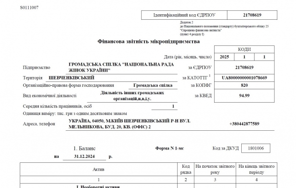Фінансовий звіт НРЖУ за 2024 рік